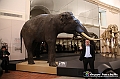 VBS_0914 - Riapre il Museo di Scienze Naturali dopo dieci anni di chiusura